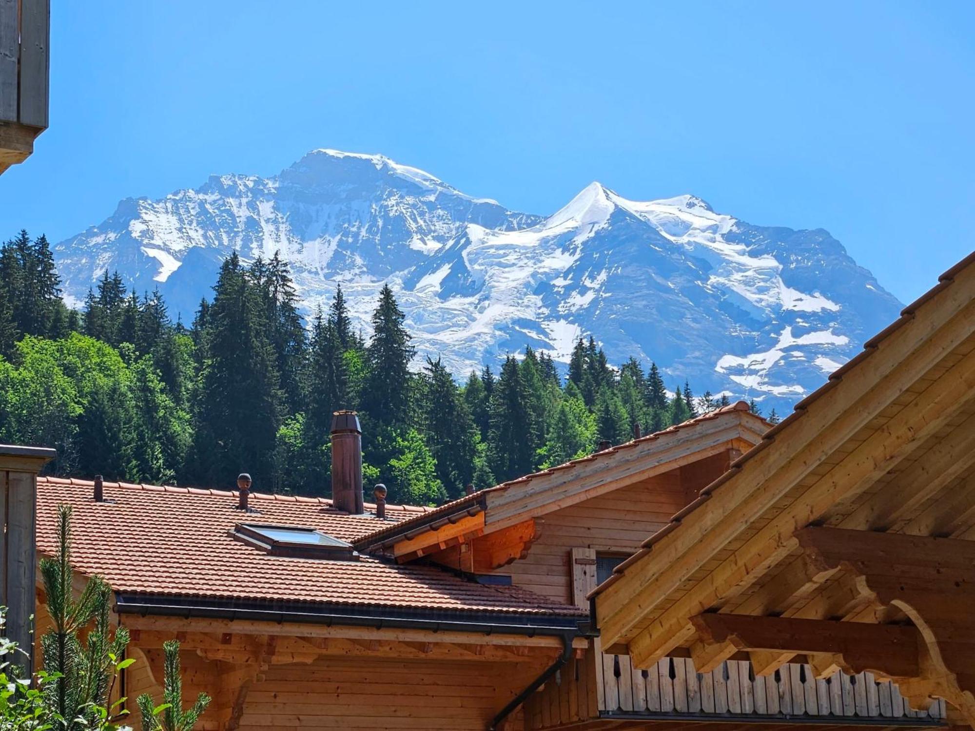 Apartment Panoramapark Soleil Haus D Apt 3 By Interhome Wengen Eksteriør billede