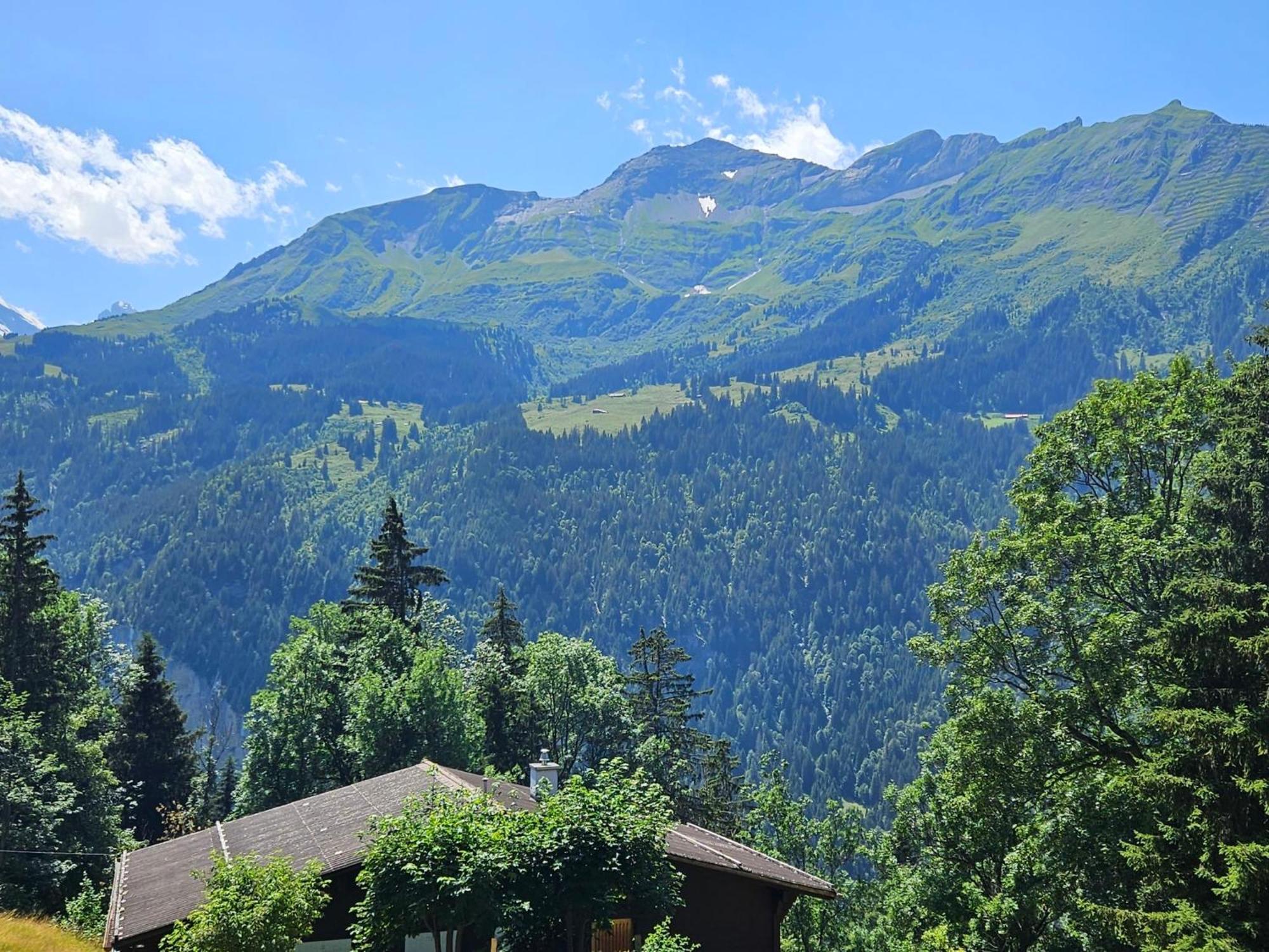 Apartment Panoramapark Soleil Haus D Apt 3 By Interhome Wengen Eksteriør billede