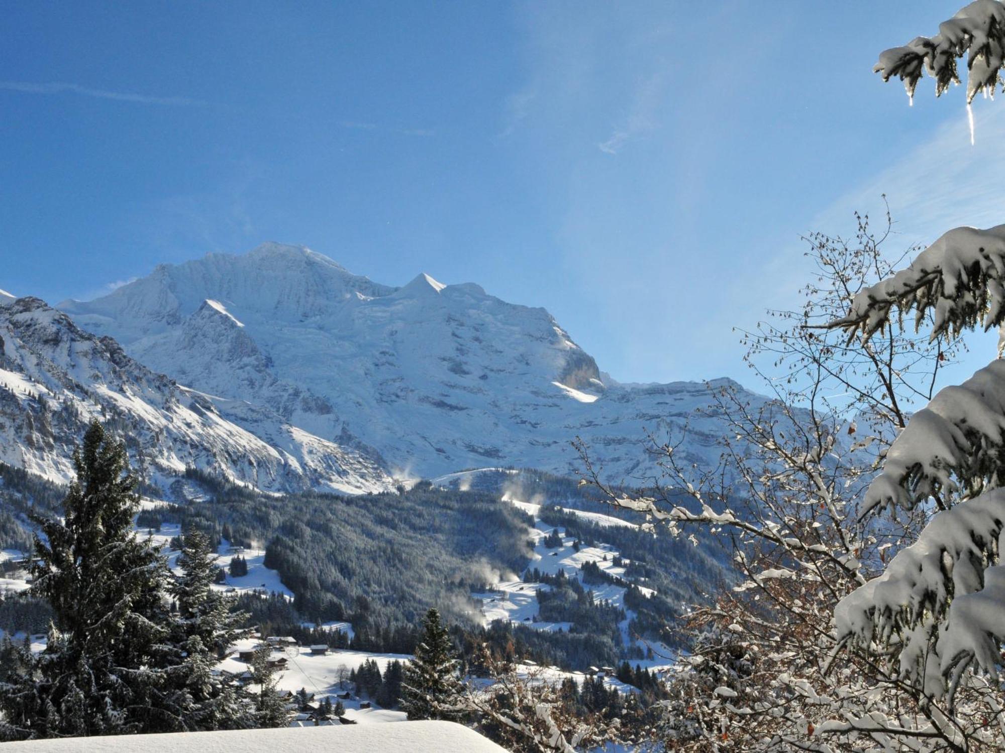 Apartment Panoramapark Soleil Haus D Apt 3 By Interhome Wengen Eksteriør billede